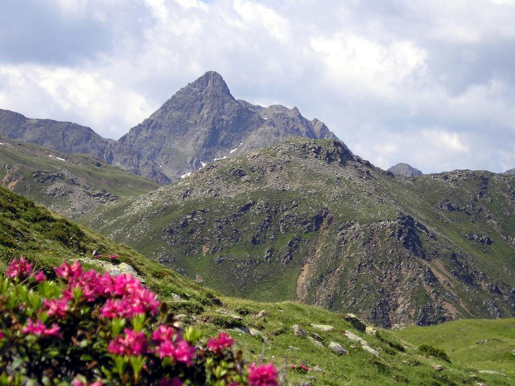 Sankt Veit in Defereggen Pension Stoffler المظهر الخارجي الصورة